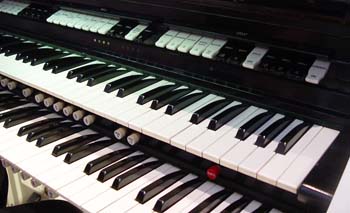 Organ